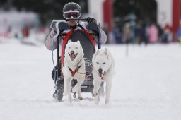 Lenzerheide 2013